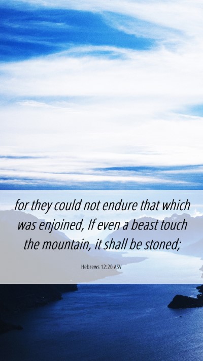 Picture 06 - Hebrews 12:20 ASV Mobile Phone Wallpaper - for they could not endure that which was - Mobile Bible Verse Wallpaper
