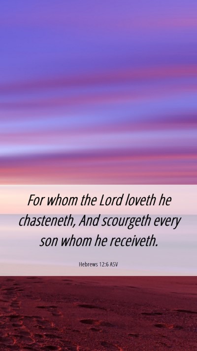 Picture 06 - Hebrews 12:6 ASV Mobile Phone Wallpaper - For whom the Lord loveth he chasteneth, And - Mobile Bible Verse Wallpaper