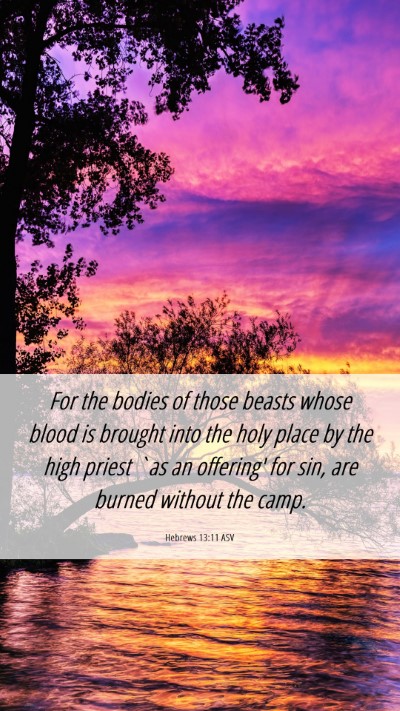 Picture 06 - Hebrews 13:11 ASV Mobile Phone Wallpaper - For the bodies of those beasts whose blood is - Mobile Bible Verse Wallpaper
