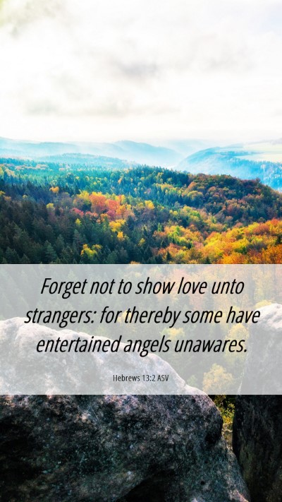 Picture 06 - Hebrews 13:2 ASV Mobile Phone Wallpaper - Forget not to show love unto strangers: for - Mobile Bible Verse Wallpaper