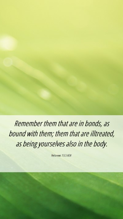 Picture 06 - Hebrews 13:3 ASV Mobile Phone Wallpaper - Remember them that are in bonds, as bound with - Mobile Bible Verse Wallpaper