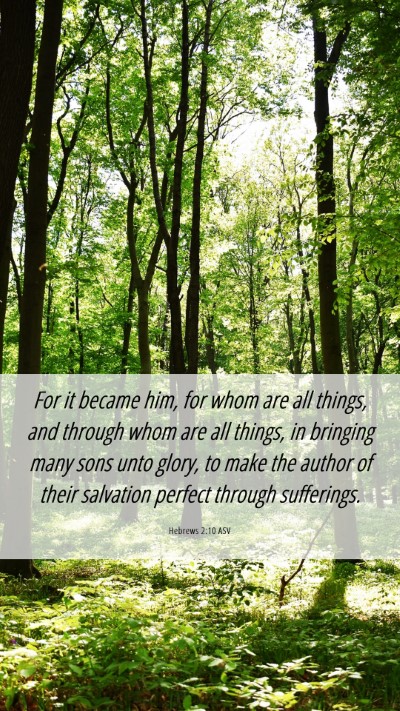 Picture 06 - Hebrews 2:10 ASV Mobile Phone Wallpaper - For it became him, for whom are all things, and - Mobile Bible Verse Wallpaper