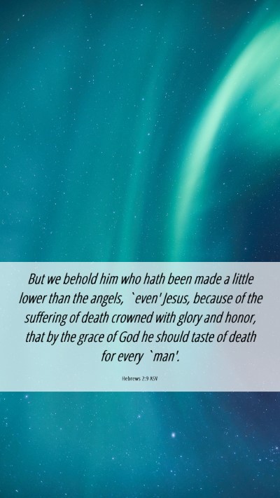 Picture 06 - Hebrews 2:9 ASV Mobile Phone Wallpaper - But we behold him who hath been made a little - Mobile Bible Verse Wallpaper