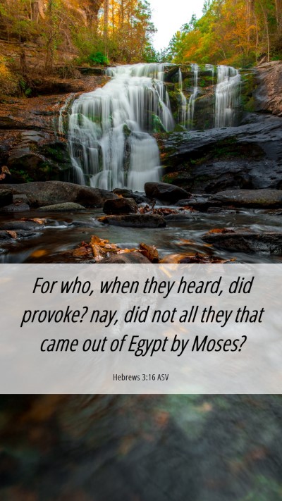 Picture 06 - Hebrews 3:16 ASV Mobile Phone Wallpaper - For who, when they heard, did provoke? nay, did - Mobile Bible Verse Wallpaper