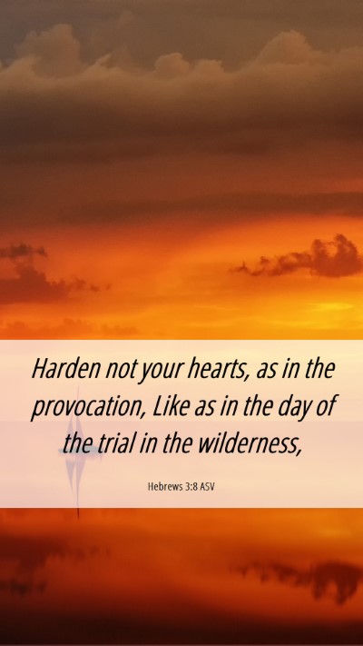Picture 06 - Hebrews 3:8 ASV Mobile Phone Wallpaper - Harden not your hearts, as in the provocation, - Mobile Bible Verse Wallpaper
