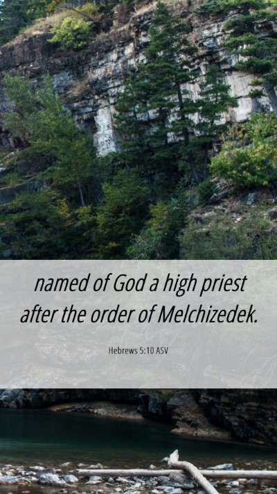 Picture 06 - Hebrews 5:10 ASV Mobile Phone Wallpaper - named of God a high priest after the order of - Mobile Bible Verse Wallpaper