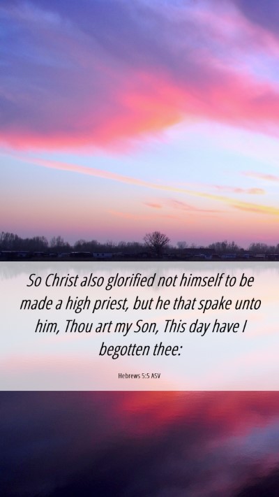 Picture 06 - Hebrews 5:5 ASV Mobile Phone Wallpaper - So Christ also glorified not himself to be made a - Mobile Bible Verse Wallpaper