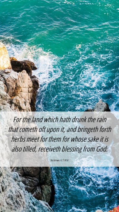 Picture 06 - Hebrews 6:7 ASV Mobile Phone Wallpaper - For the land which hath drunk the rain that - Mobile Bible Verse Wallpaper