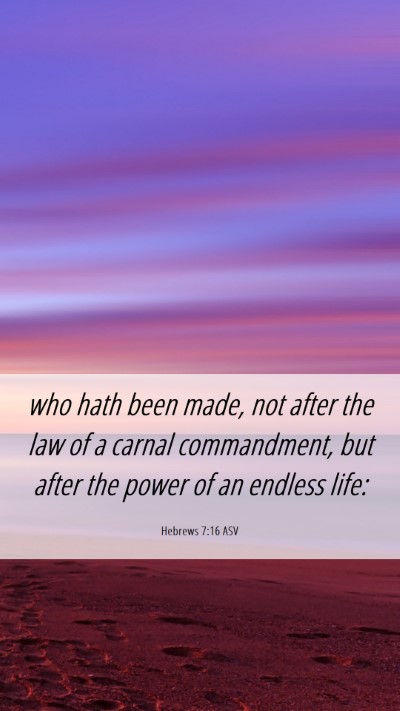 Picture 06 - Hebrews 7:16 ASV Mobile Phone Wallpaper - who hath been made, not after the law of a carnal - Mobile Bible Verse Wallpaper