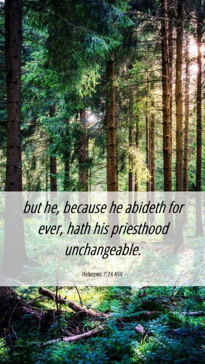 Picture 06 - Hebrews 7:24 ASV Mobile Phone Wallpaper - but he, because he abideth for ever, hath his - Mobile Bible Verse Wallpaper