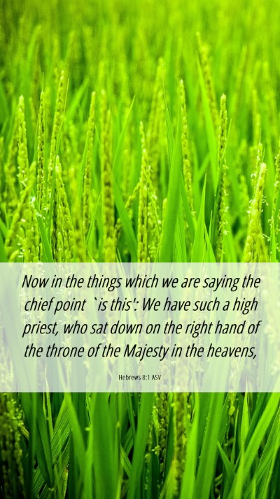 Picture 06 - Hebrews 8:1 ASV Mobile Phone Wallpaper - Now in the things which we are saying the chief - Mobile Bible Verse Wallpaper