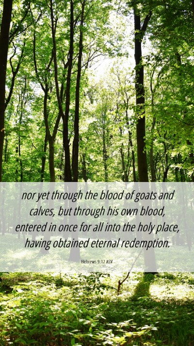 Picture 06 - Hebrews 9:12 ASV Mobile Phone Wallpaper - nor yet through the blood of goats and calves, - Mobile Bible Verse Wallpaper