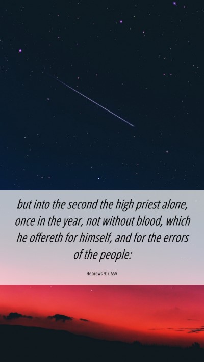 Picture 06 - Hebrews 9:7 ASV Mobile Phone Wallpaper - but into the second the high priest alone, once - Mobile Bible Verse Wallpaper
