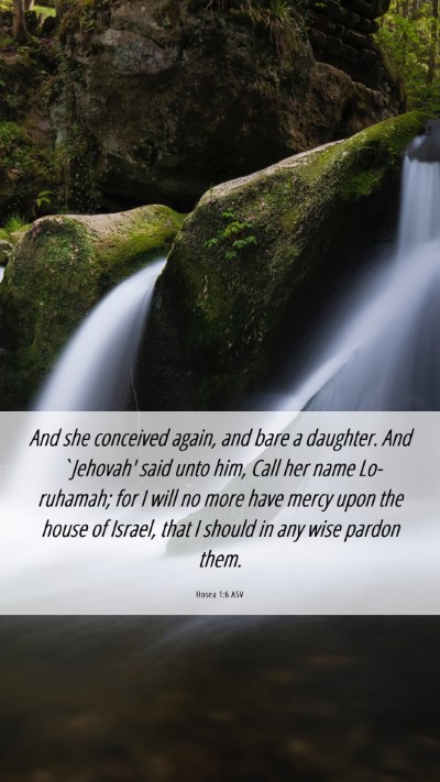 Picture 06 - Hosea 1:6 ASV Mobile Phone Wallpaper - And she conceived again, and bare a daughter. And - Mobile Bible Verse Wallpaper