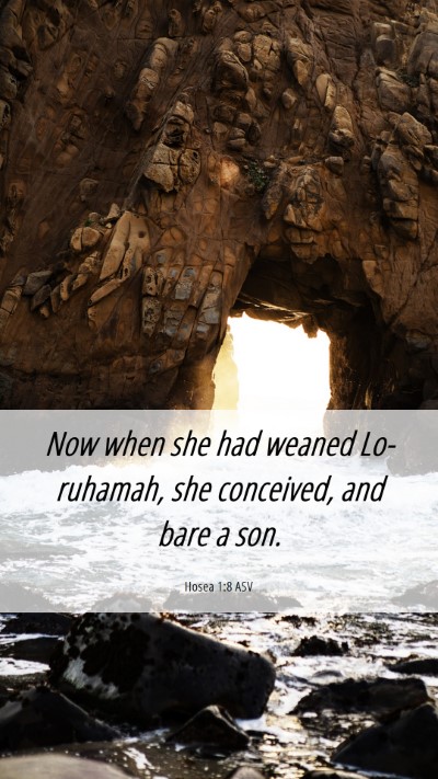 Picture 06 - Hosea 1:8 ASV Mobile Phone Wallpaper - Now when she had weaned Lo-ruhamah, she - Mobile Bible Verse Wallpaper
