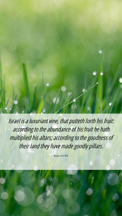 Picture 06 - Hosea 10:1 ASV Mobile Phone Wallpaper - Israel is a luxuriant vine, that putteth forth - Mobile Bible Verse Wallpaper