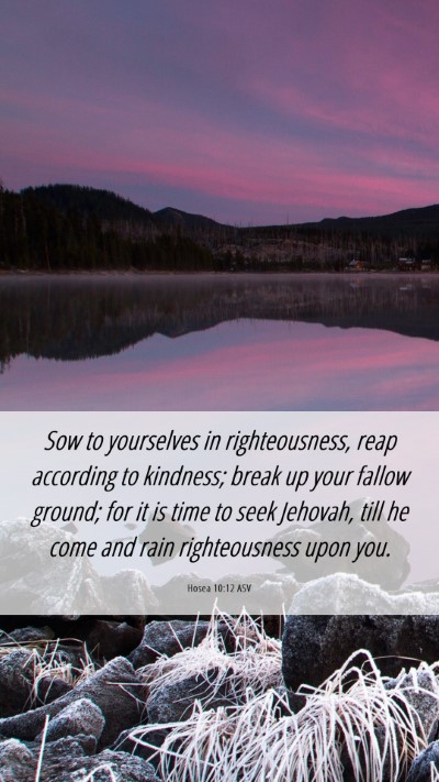 Picture 06 - Hosea 10:12 ASV Mobile Phone Wallpaper - Sow to yourselves in righteousness, reap - Mobile Bible Verse Wallpaper