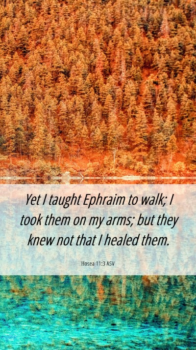 Picture 06 - Hosea 11:3 ASV Mobile Phone Wallpaper - Yet I taught Ephraim to walk; I took them on my - Mobile Bible Verse Wallpaper