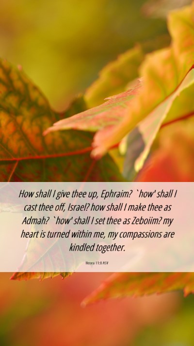 Picture 06 - Hosea 11:8 ASV Mobile Phone Wallpaper - How shall I give thee up, Ephraim? `how' shall I - Mobile Bible Verse Wallpaper
