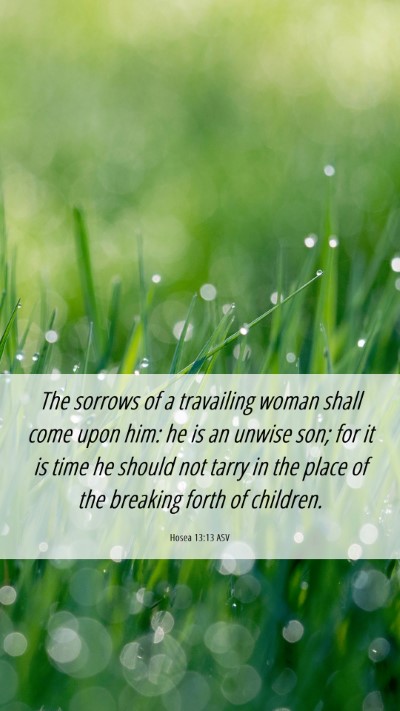 Picture 06 - Hosea 13:13 ASV Mobile Phone Wallpaper - The sorrows of a travailing woman shall come upon - Mobile Bible Verse Wallpaper
