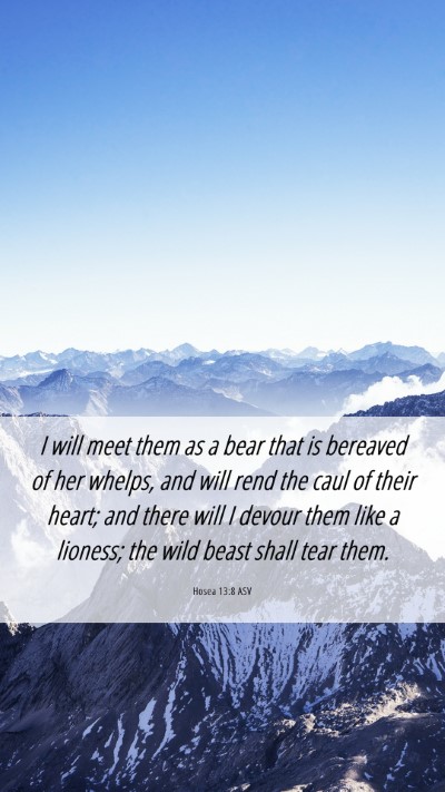 Picture 06 - Hosea 13:8 ASV Mobile Phone Wallpaper - I will meet them as a bear that is bereaved of - Mobile Bible Verse Wallpaper