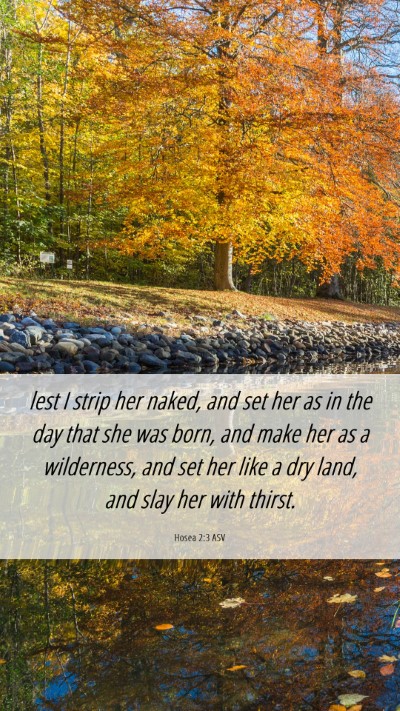 Picture 06 - Hosea 2:3 ASV Mobile Phone Wallpaper - lest I strip her naked, and set her as in the day - Mobile Bible Verse Wallpaper