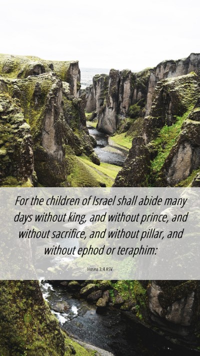 Picture 06 - Hosea 3:4 ASV Mobile Phone Wallpaper - For the children of Israel shall abide many days - Mobile Bible Verse Wallpaper