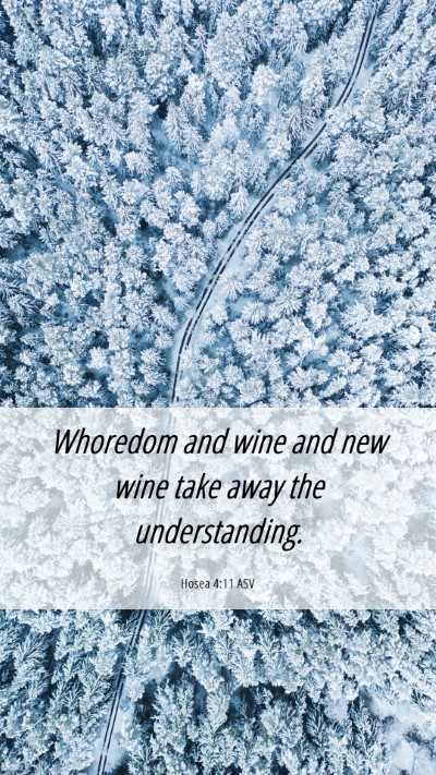 Picture 06 - Hosea 4:11 ASV Mobile Phone Wallpaper - Whoredom and wine and new wine take away the - Mobile Bible Verse Wallpaper