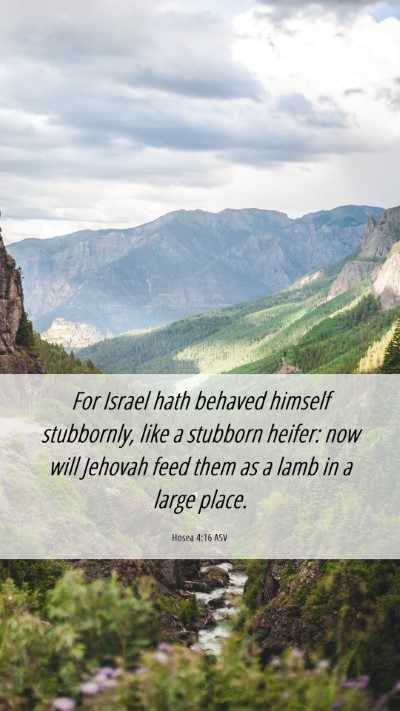 Picture 06 - Hosea 4:16 ASV Mobile Phone Wallpaper - For Israel hath behaved himself stubbornly, like - Mobile Bible Verse Wallpaper