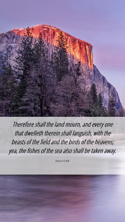 Picture 06 - Hosea 4:3 ASV Mobile Phone Wallpaper - Therefore shall the land mourn, and every one - Mobile Bible Verse Wallpaper