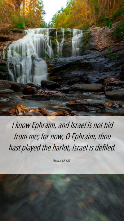 Picture 06 - Hosea 5:3 ASV Mobile Phone Wallpaper - I know Ephraim, and Israel is not hid from me; - Mobile Bible Verse Wallpaper