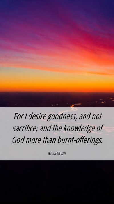 Picture 06 - Hosea 6:6 ASV Mobile Phone Wallpaper - For I desire goodness, and not sacrifice; and the - Mobile Bible Verse Wallpaper