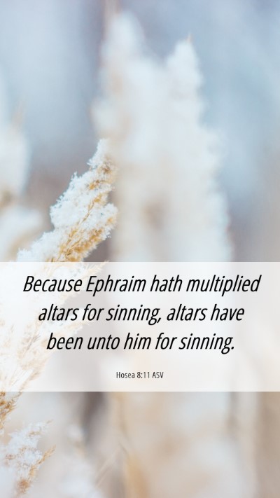 Picture 06 - Hosea 8:11 ASV Mobile Phone Wallpaper - Because Ephraim hath multiplied altars for - Mobile Bible Verse Wallpaper