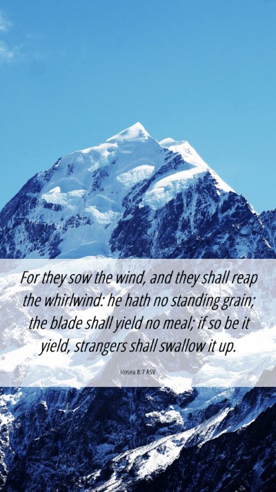 Picture 06 - Hosea 8:7 ASV Mobile Phone Wallpaper - For they sow the wind, and they shall reap the - Mobile Bible Verse Wallpaper