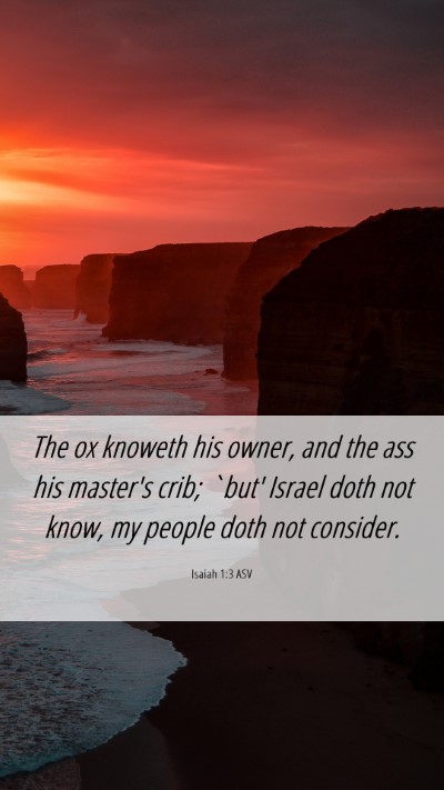 Picture 06 - Isaiah 1:3 ASV Mobile Phone Wallpaper - The ox knoweth his owner, and the ass his - Mobile Bible Verse Wallpaper