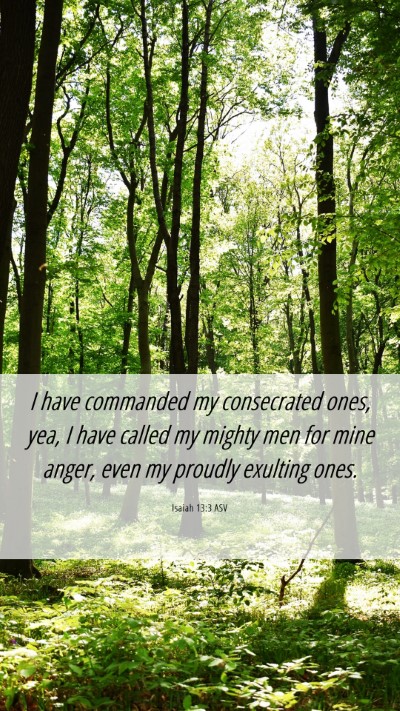 Picture 06 - Isaiah 13:3 ASV Mobile Phone Wallpaper - I have commanded my consecrated ones, yea, I have - Mobile Bible Verse Wallpaper