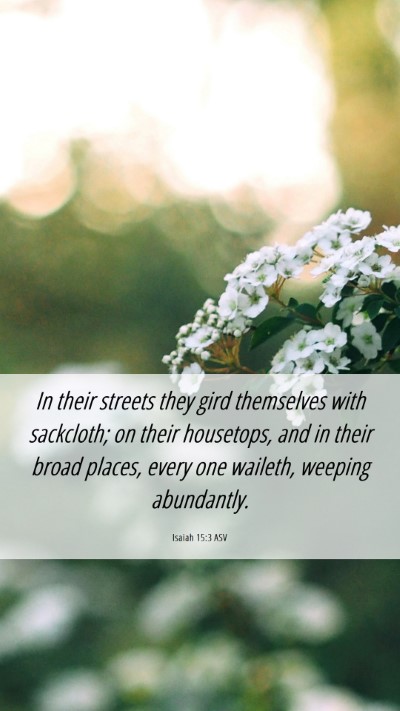 Picture 06 - Isaiah 15:3 ASV Mobile Phone Wallpaper - In their streets they gird themselves with - Mobile Bible Verse Wallpaper