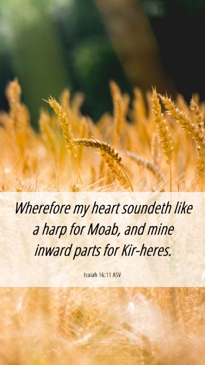 Picture 06 - Isaiah 16:11 ASV Mobile Phone Wallpaper - Wherefore my heart soundeth like a harp for Moab, - Mobile Bible Verse Wallpaper