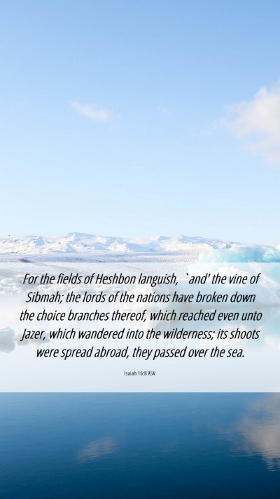 Picture 06 - Isaiah 16:8 ASV Mobile Phone Wallpaper - For the fields of Heshbon languish, `and' the - Mobile Bible Verse Wallpaper