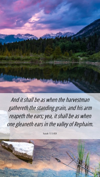 Picture 06 - Isaiah 17:5 ASV Mobile Phone Wallpaper - And it shall be as when the harvestman gathereth - Mobile Bible Verse Wallpaper