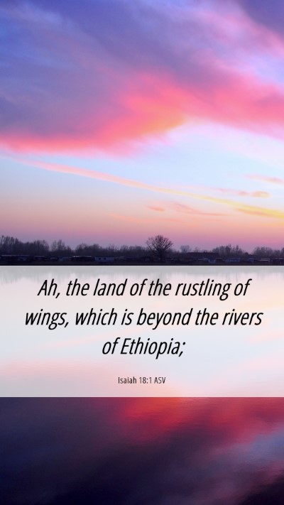 Picture 06 - Isaiah 18:1 ASV Mobile Phone Wallpaper - Ah, the land of the rustling of wings, which is - Mobile Bible Verse Wallpaper