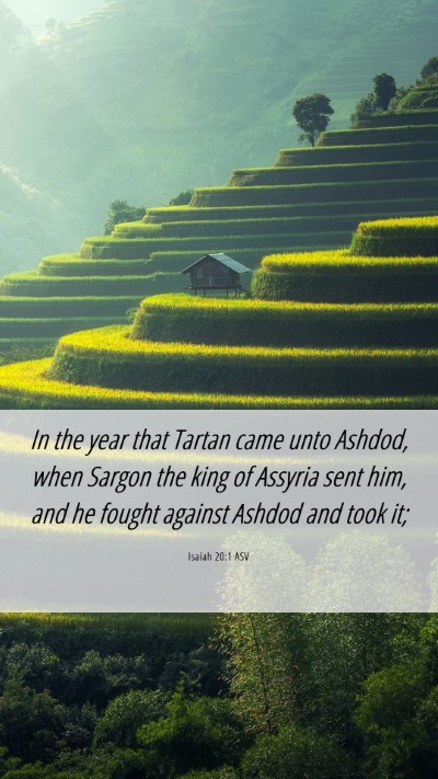 Picture 06 - Isaiah 20:1 ASV Mobile Phone Wallpaper - In the year that Tartan came unto Ashdod, when - Mobile Bible Verse Wallpaper