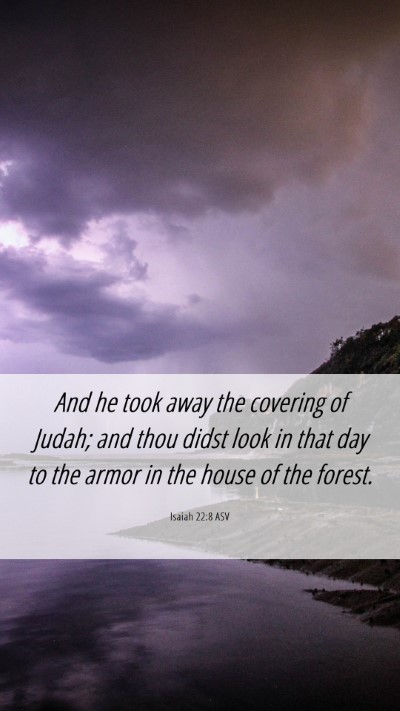 Picture 06 - Isaiah 22:8 ASV Mobile Phone Wallpaper - And he took away the covering of Judah; and thou - Mobile Bible Verse Wallpaper