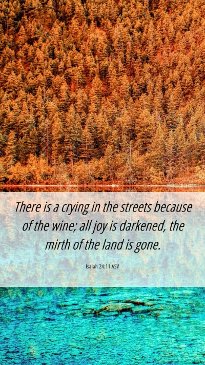 Picture 06 - Isaiah 24:11 ASV Mobile Phone Wallpaper - There is a crying in the streets because of the - Mobile Bible Verse Wallpaper