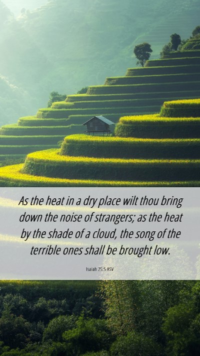 Picture 06 - Isaiah 25:5 ASV Mobile Phone Wallpaper - As the heat in a dry place wilt thou bring down - Mobile Bible Verse Wallpaper