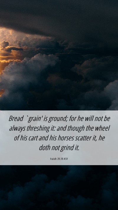 Picture 06 - Isaiah 28:28 ASV Mobile Phone Wallpaper - Bread `grain' is ground; for he will not be - Mobile Bible Verse Wallpaper