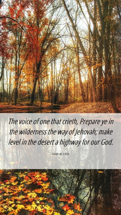 Picture 06 - Isaiah 40:3 ASV Mobile Phone Wallpaper - The voice of one that crieth, Prepare ye in the - Mobile Bible Verse Wallpaper