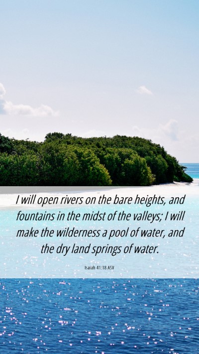 Picture 06 - Isaiah 41:18 ASV Mobile Phone Wallpaper - I will open rivers on the bare heights, and - Mobile Bible Verse Wallpaper