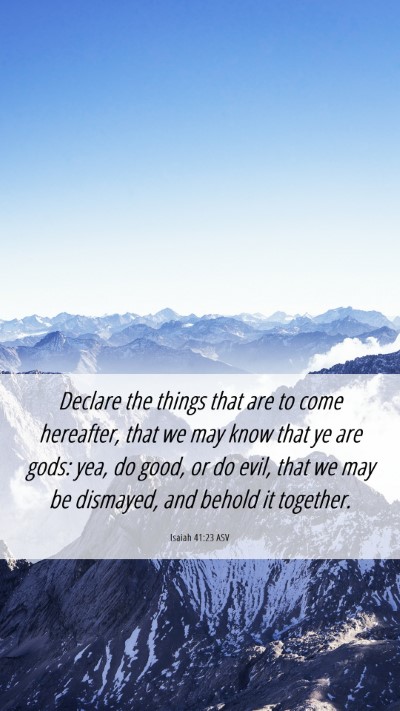 Picture 06 - Isaiah 41:23 ASV Mobile Phone Wallpaper - Declare the things that are to come hereafter, - Mobile Bible Verse Wallpaper
