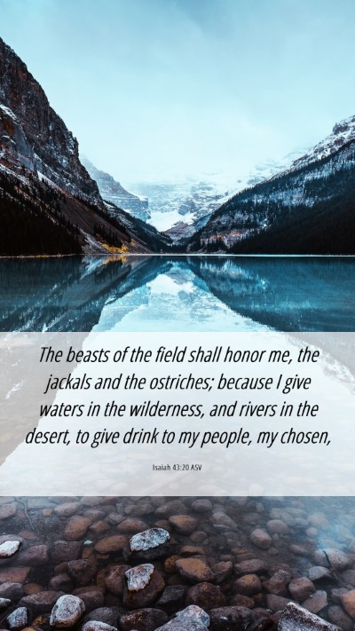 Picture 06 - Isaiah 43:20 ASV Mobile Phone Wallpaper - The beasts of the field shall honor me, the - Mobile Bible Verse Wallpaper